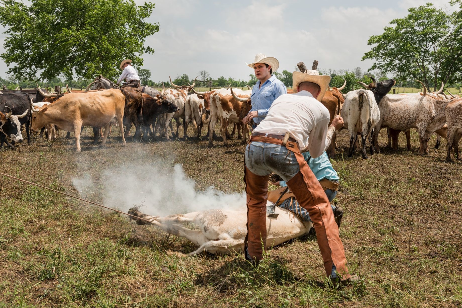 Another Day in the Life on a Cattle Ranch Equity of Finance
