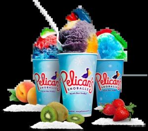 pelicans-snowball_1758592474