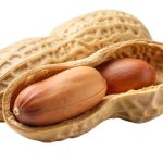 Exploring The Penut: Nutritional Benefits And Uses