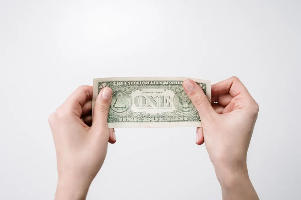 ditch the US dollar