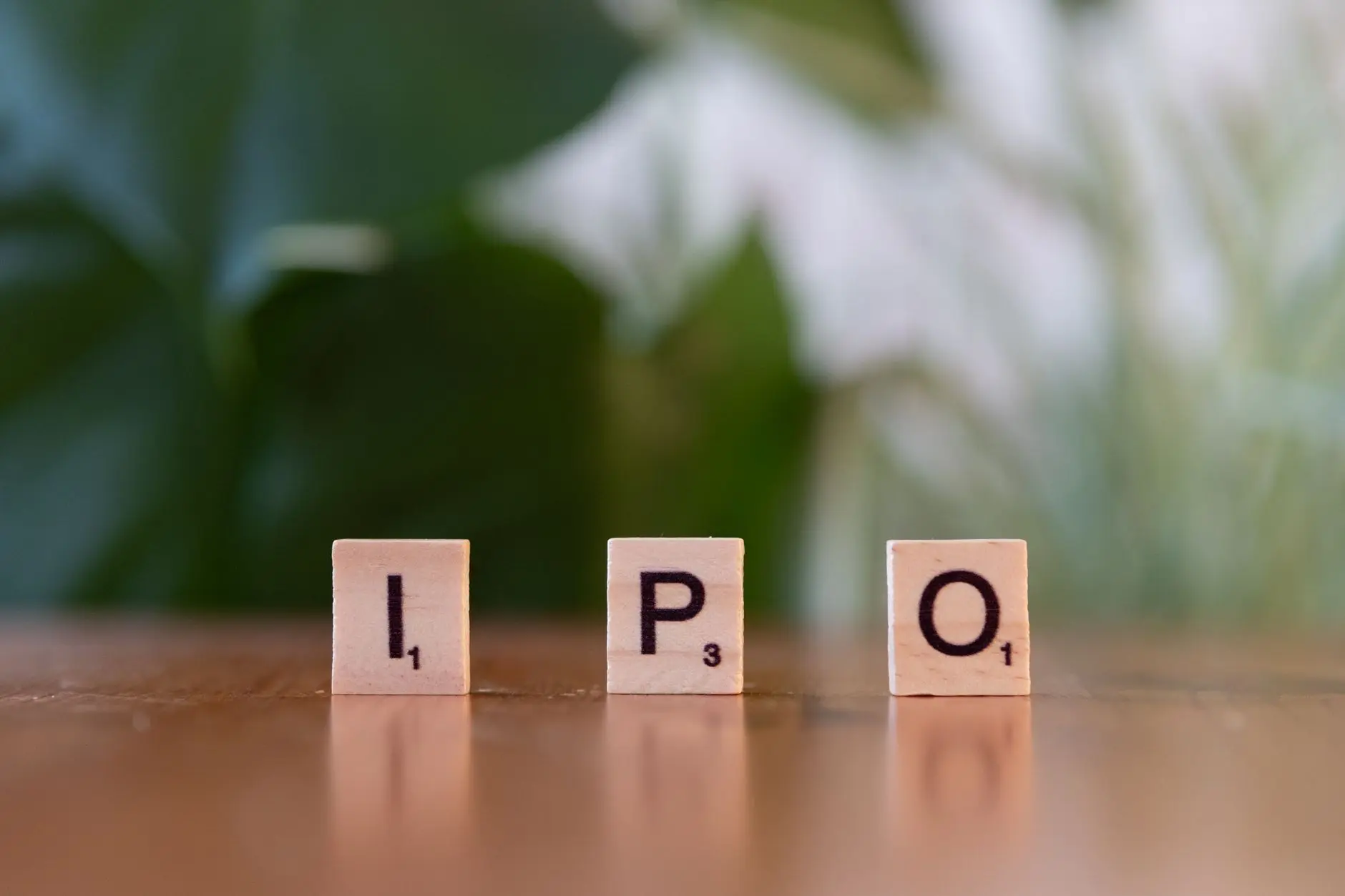 ESDS Software Solutions IPO