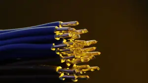 Sunil Singhania cable stock